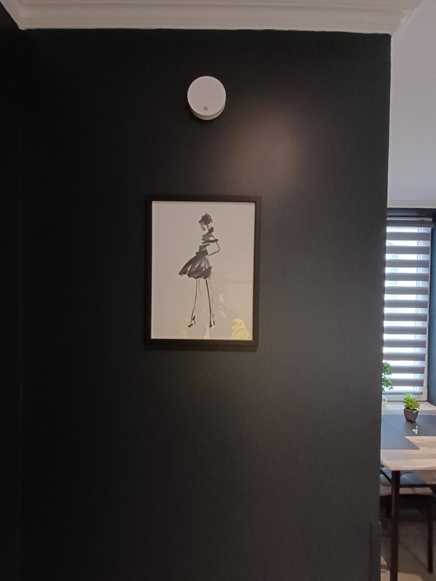 City Apartment Paderborn Apartment 6 외부 사진